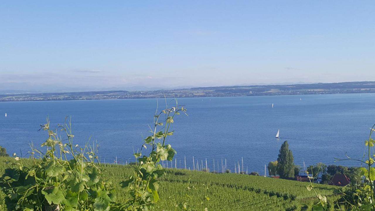 Studio Bodensee Daisendorf Екстер'єр фото